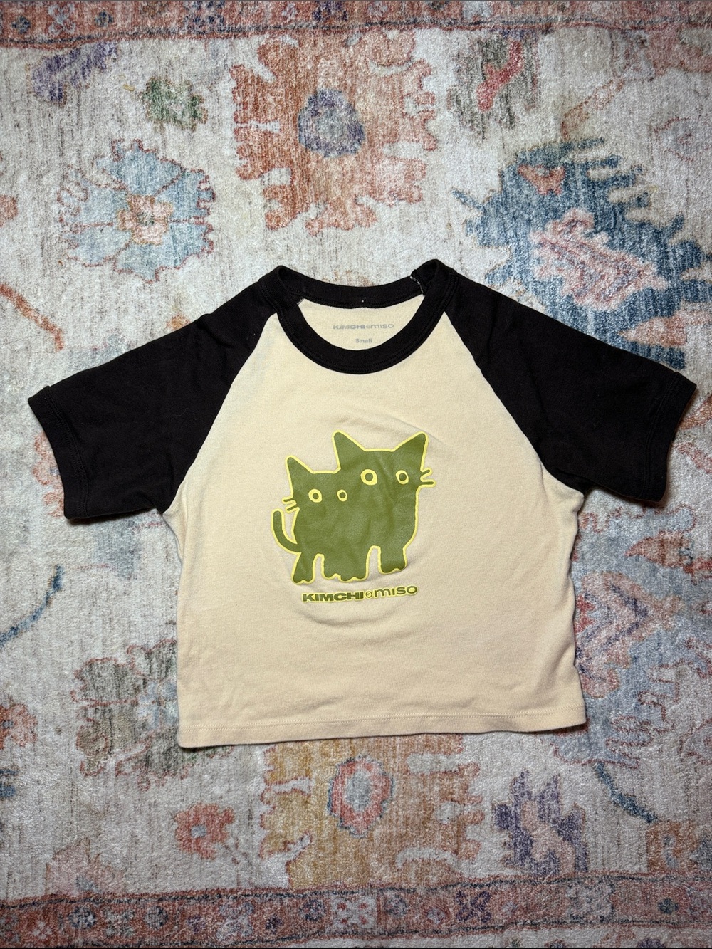 Kimchi & Miso Beige and Brown Crop Top Beabadoobee
